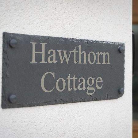 Hawthorn Cottage Tenby Exterior foto